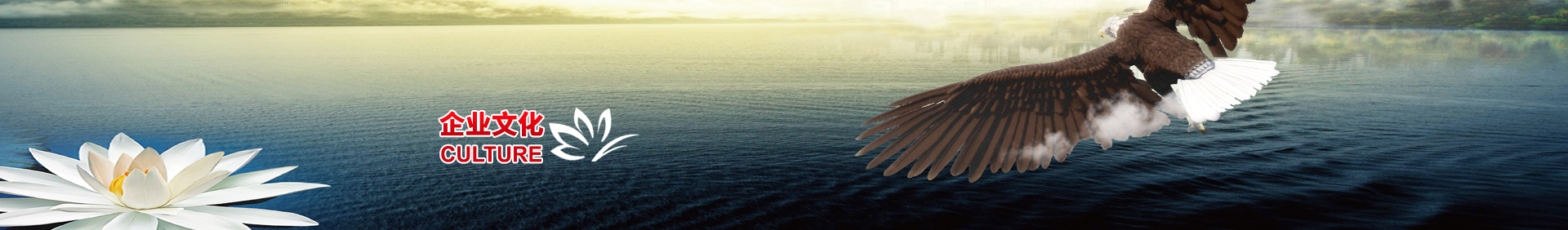 企业文化-bv1946伟德官网